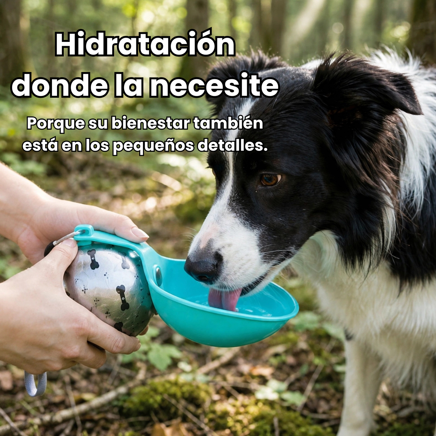 Bebedero Portátil 2 en 1 para Perros